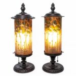 20786-low-Res-1-of-1-350x320-2