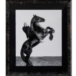 AbellAuction004757-350x320-2